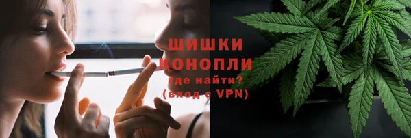 соль ск Семёнов
