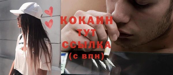 сатива Корсаков