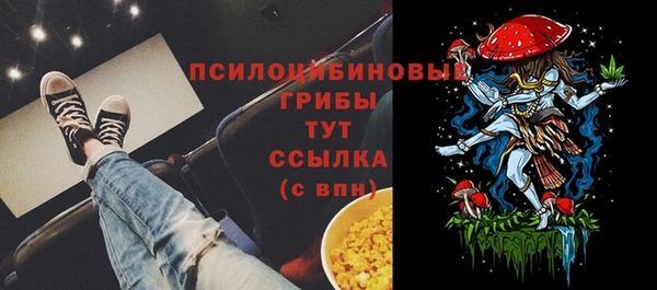соль ск Семёнов