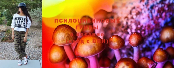 ешки Семикаракорск