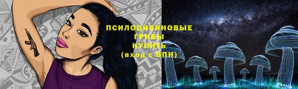 ешки Семикаракорск