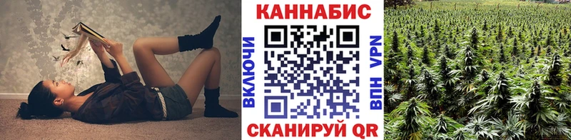 Бошки марихуана THC 21%  KRAKEN ссылка  Кяхта  наркошоп 